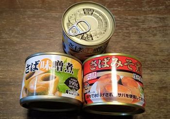 11046 鯖の味噌煮缶202109-1.jpg