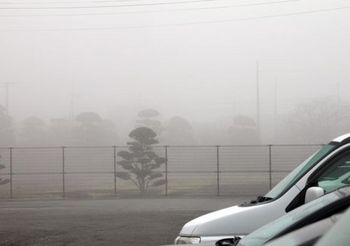 1523 1月の濃霧.jpg