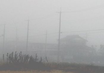 2249 濃霧2013年12月.jpg